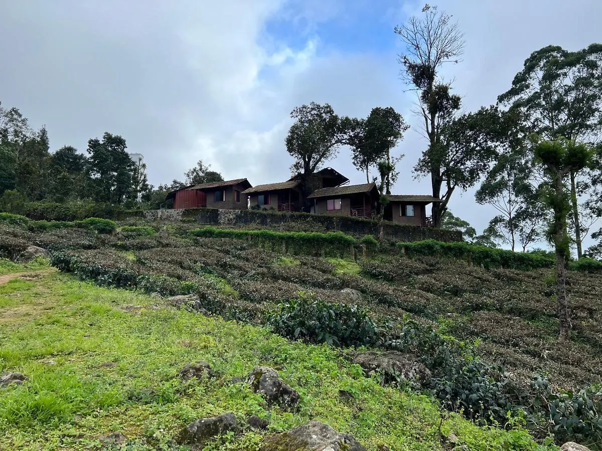 Holacasa Cottages Munnar Semesterpark