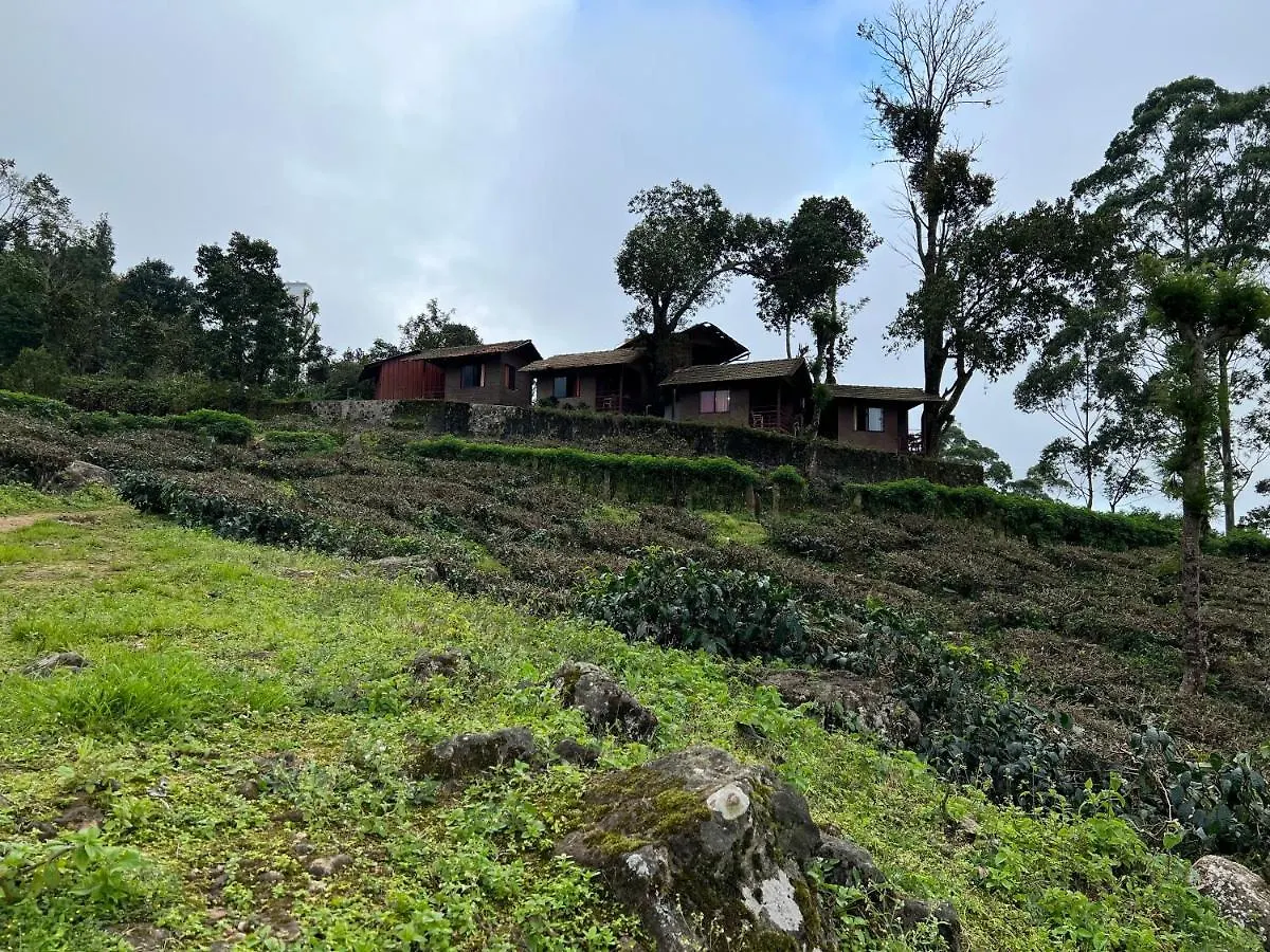 Holacasa Cottages Munnar