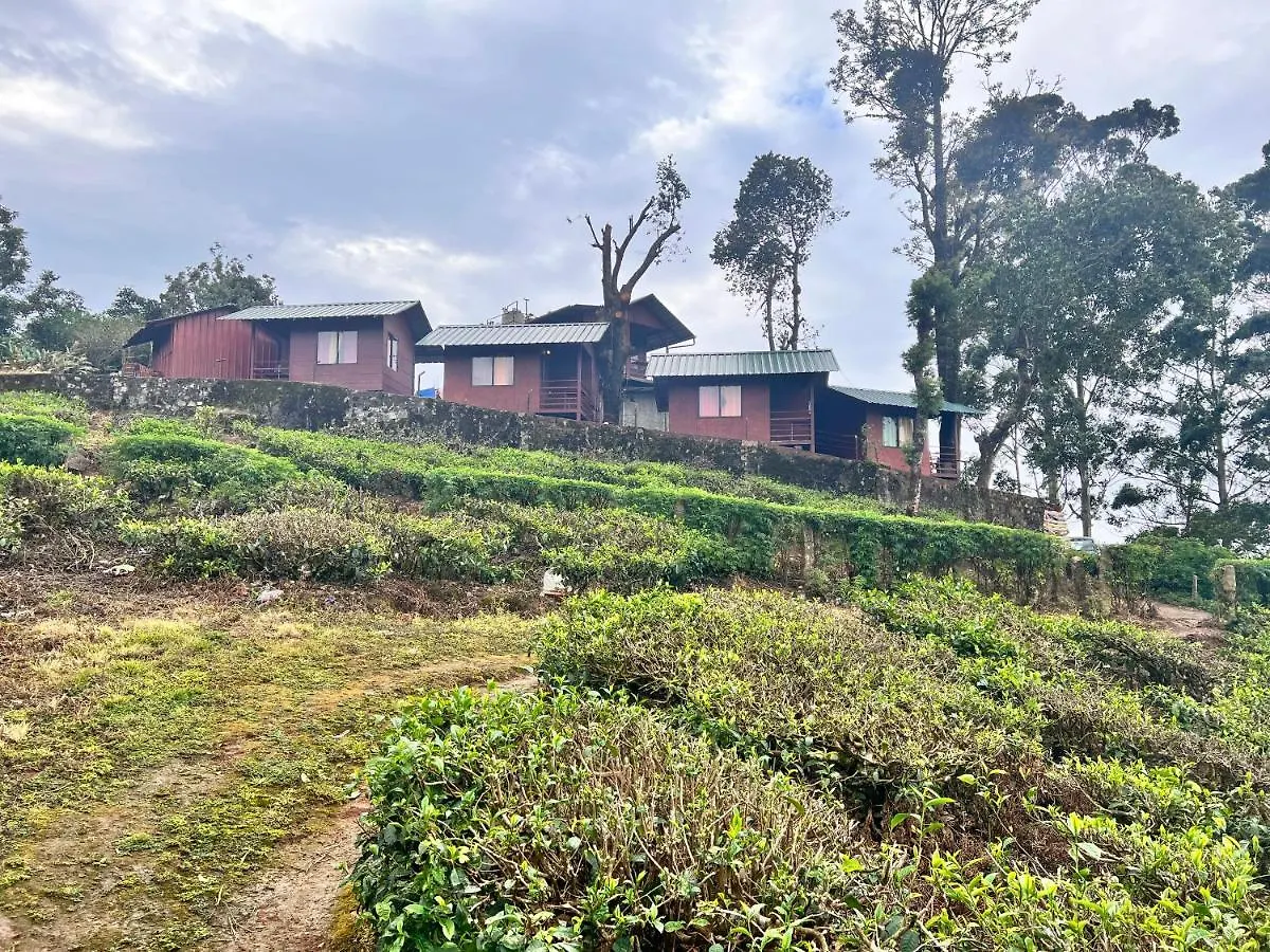 Feriepark Holacasa Cottages Munnar Indien