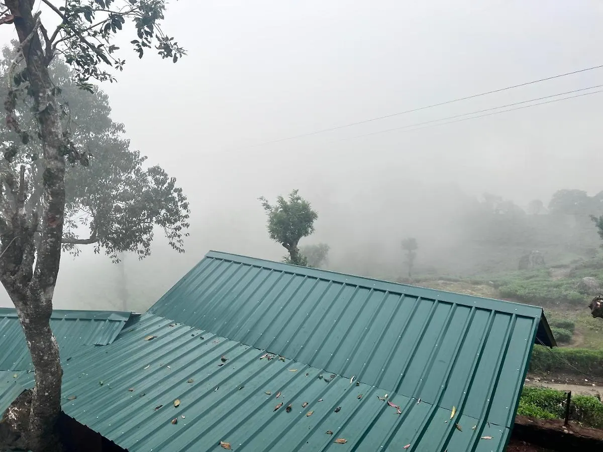 Holacasa Cottages Munnar